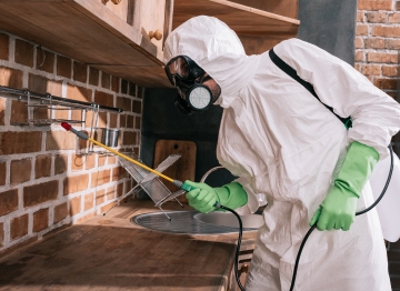 مكافحة الحشرات والقوارض باستخدام مبيدات مرخصة وآمنة